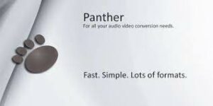 Panther Media Converter