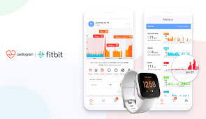 Fitbit Health